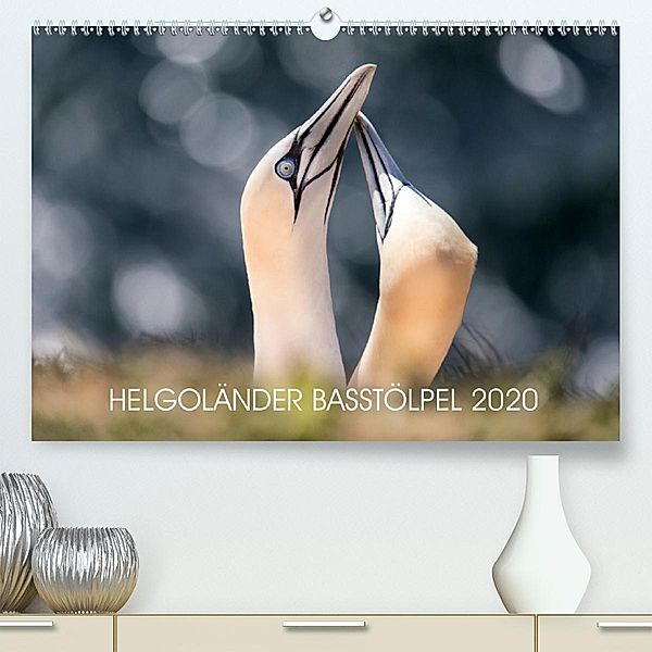 Helgoländer Basstölpel 2020 (Premium-Kalender 2020 DIN A2 quer), Annett Mirsberger