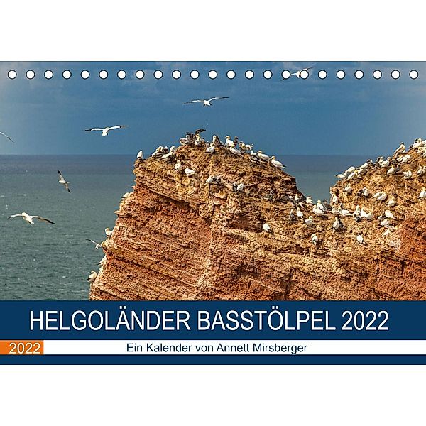 Helgoländer Basstölpel 2022 (Tischkalender 2022 DIN A5 quer), Annett Mirsberger
