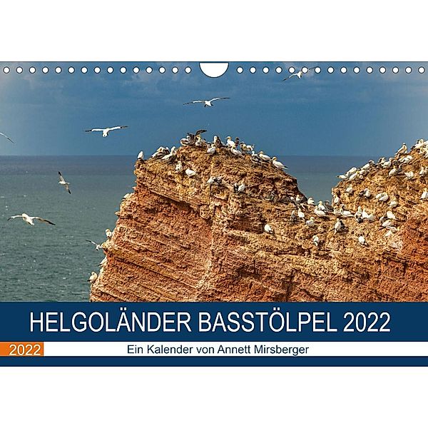 Helgoländer Basstölpel 2022 (Wandkalender 2022 DIN A4 quer), Annett Mirsberger