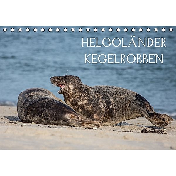 Helgoländer Kegelrobben (Tischkalender 2018 DIN A5 quer), Udo Quentin