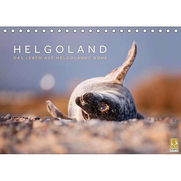 Helgoland - Das Leben auf der Düne Helgolands (Tischkalender 2021 DIN A5 quer), Lain Jackson