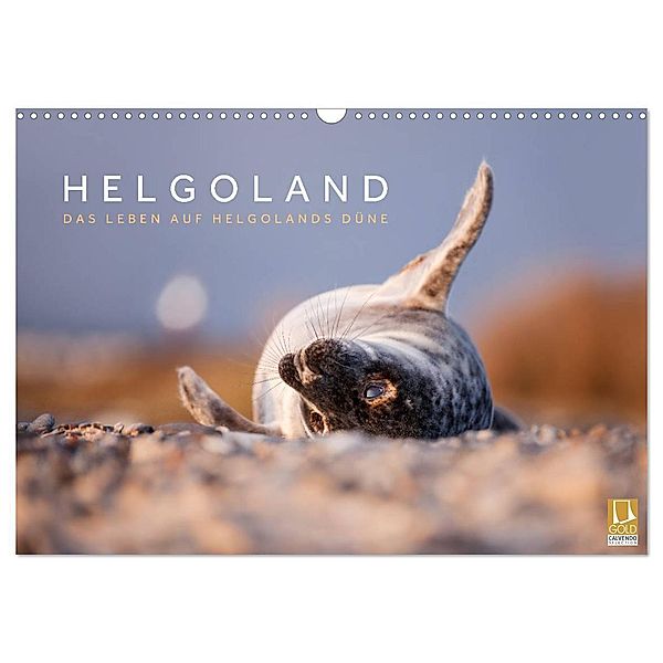 Helgoland - Das Leben auf der Düne Helgolands (Wandkalender 2024 DIN A3 quer), CALVENDO Monatskalender, Lain Jackson