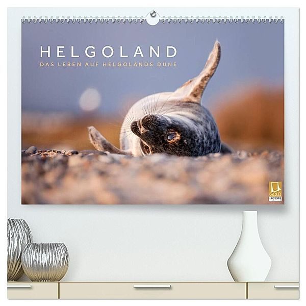 Helgoland - Das Leben auf der Düne Helgolands (hochwertiger Premium Wandkalender 2024 DIN A2 quer), Kunstdruck in Hochglanz, Lain Jackson