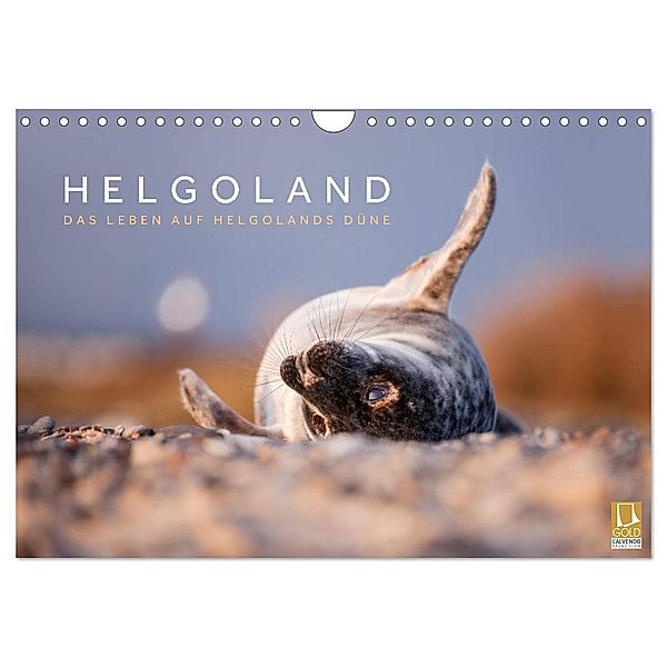 Helgoland - Das Leben auf der Düne Helgolands (Wandkalender 2025 DIN A4 quer), CALVENDO Monatskalender, Calvendo, Lain Jackson