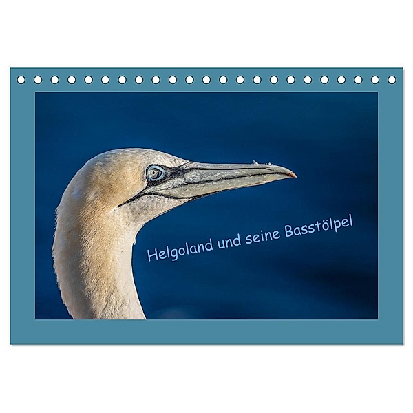Helgoland und seine Basstölpel (Tischkalender 2024 DIN A5 quer), CALVENDO Monatskalender, Wiebke von der Heyde