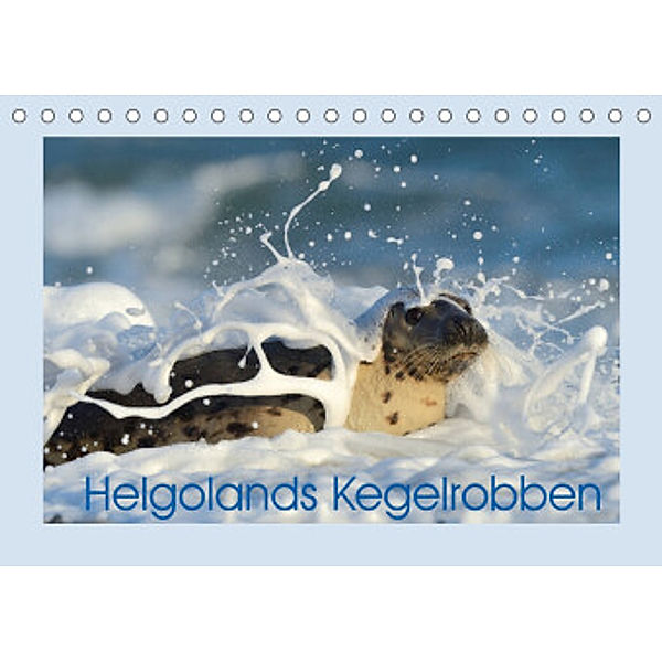 Helgolands Kegelrobben (Tischkalender 2022 DIN A5 quer), Elmar Weiß