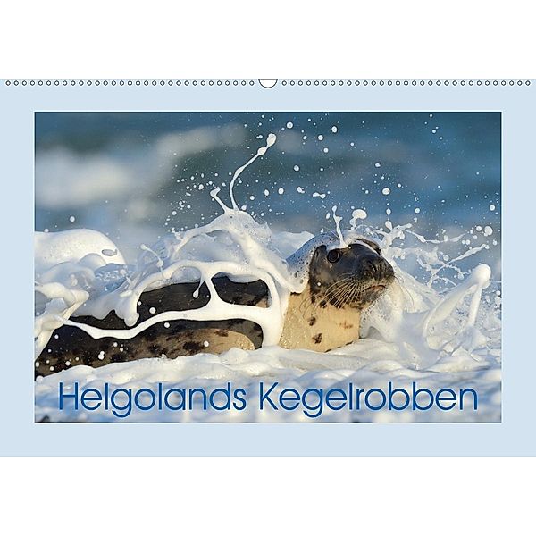 Helgolands Kegelrobben (Wandkalender 2020 DIN A2 quer), Elmar Weiss