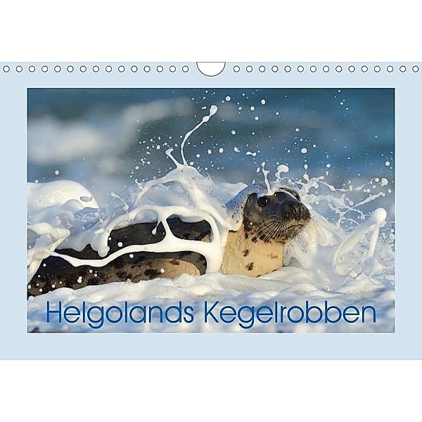 Helgolands Kegelrobben (Wandkalender 2021 DIN A4 quer), Elmar Weiss