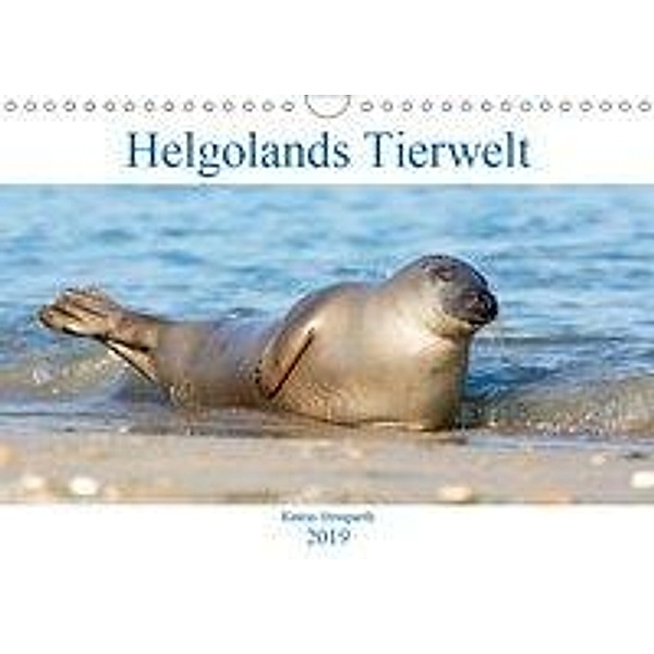 Helgolands Tierwelt (Wandkalender 2019 DIN A4 quer), Katrin Streiparth