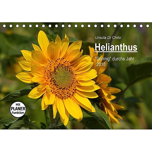 Helianthus (Tischkalender 2018 DIN A5 quer), Ursula Di Chito