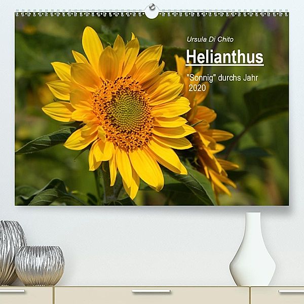 Helianthus(Premium, hochwertiger DIN A2 Wandkalender 2020, Kunstdruck in Hochglanz), Ursula Di Chito