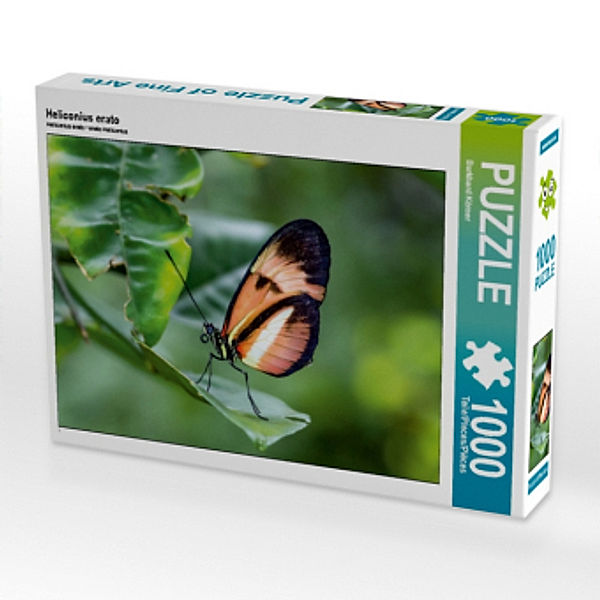 Heliconius erato (Puzzle), Burkhard Körner