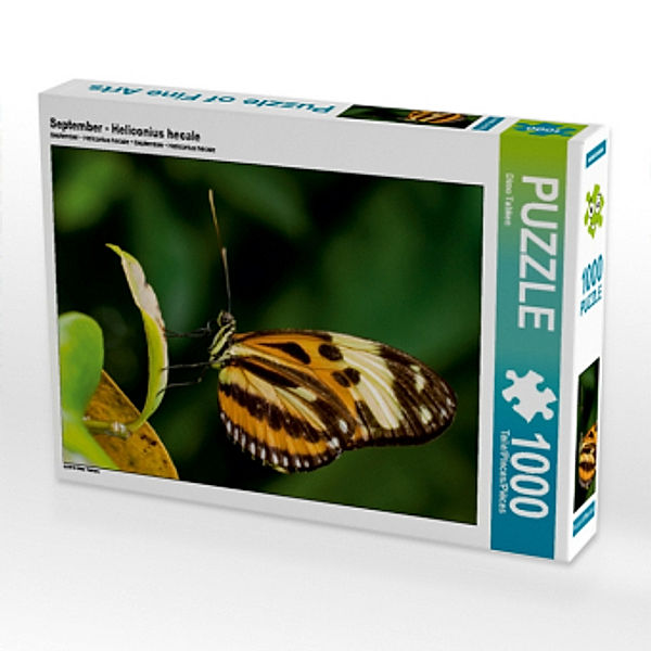 Heliconius hecale, 1000 Teile, Dimo Tabken