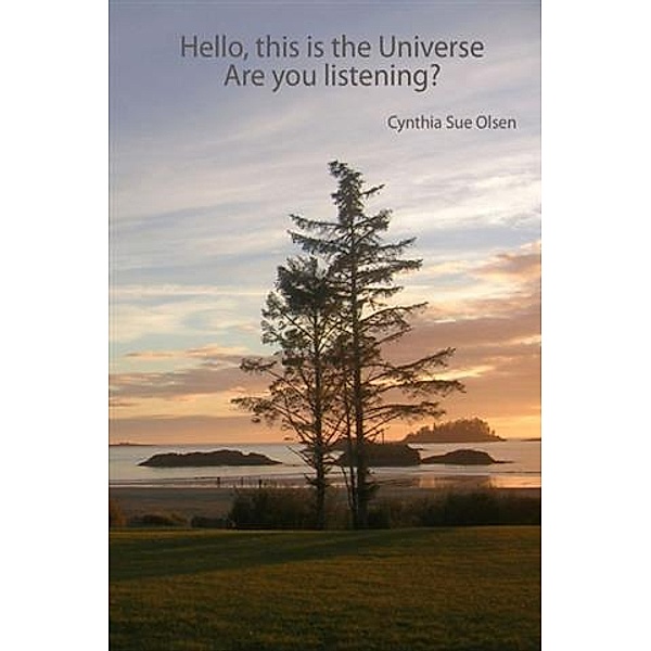 Hello. This is the Universe., Cynthia Sue Olsen