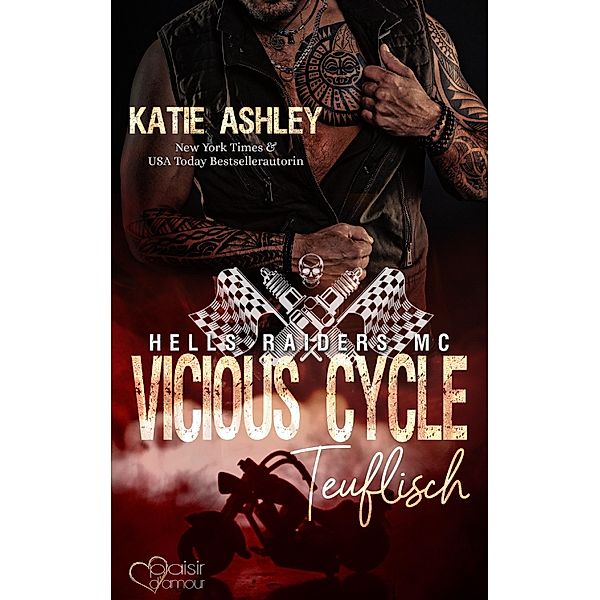 Hells Raiders MC Teil 1: Vicious Cycle - Teuflisch / Hells Raiders MC Bd.1, Katie Ashley