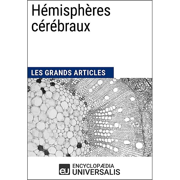 Hémisphères cérébraux, Encyclopaedia Universalis