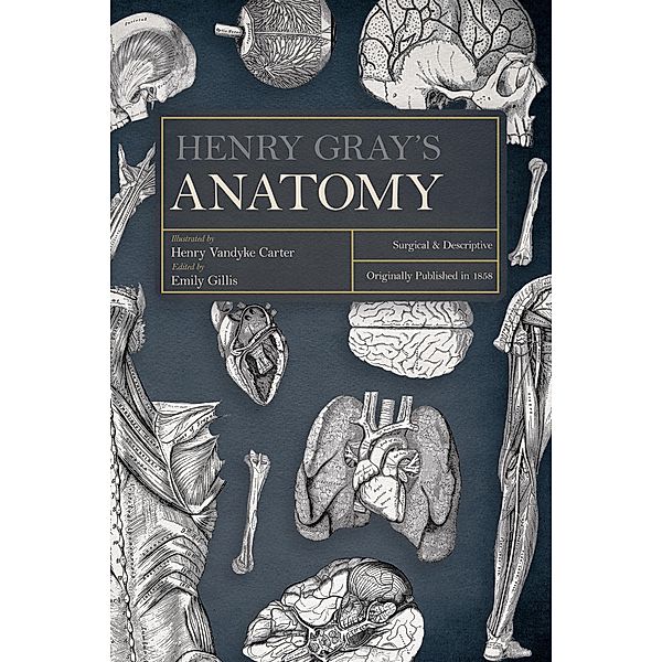 Henry Gray's Anatomy, Henry Gray
