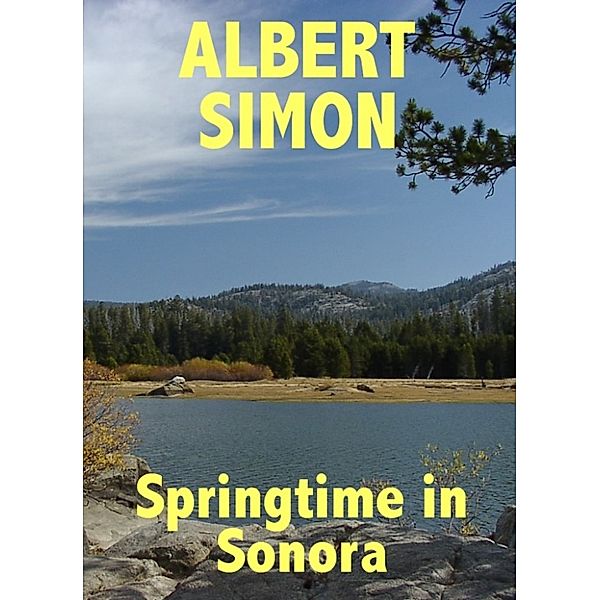 Henry Wright Mysteries: Springtime in Sonora: A Henry Wright Mystery, Albert Simon