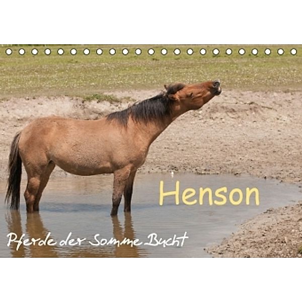 Henson - Pferde der Somme Bucht (Tischkalender 2016 DIN A5 quer), Meike Bölts