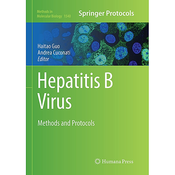 Hepatitis B Virus