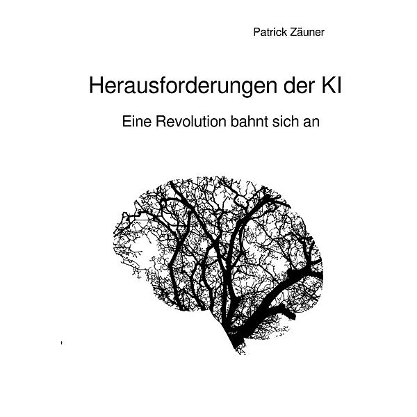 Herausforderungen der KI, Patrick Zäuner