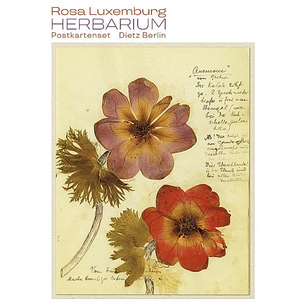 Herbarium Postkartenset, Rosa Luxemburg