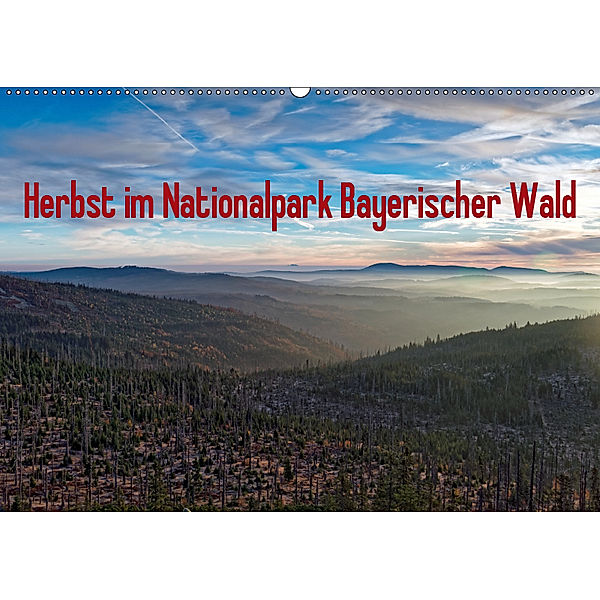 Herbst im Nationalpark Bayerischer Wald (Wandkalender 2019 DIN A2 quer), Borg Enders