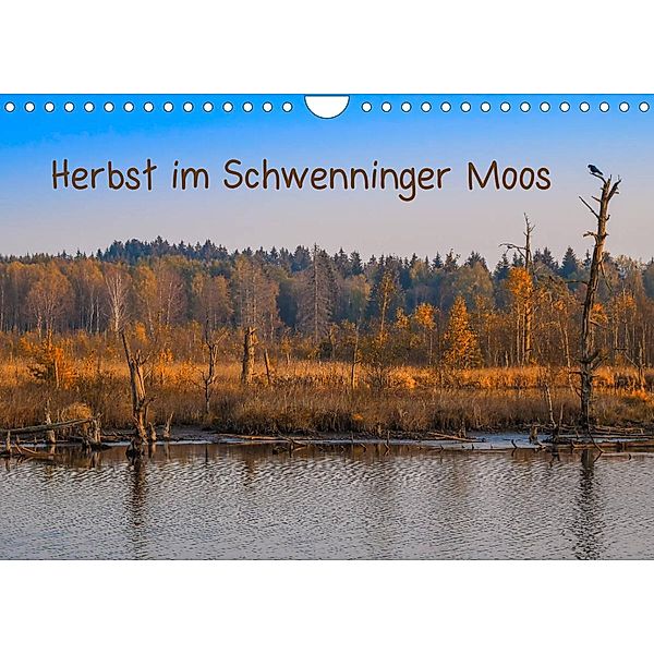 Herbst im Schwenninger Moos (Wandkalender 2023 DIN A4 quer), Christine Horn
