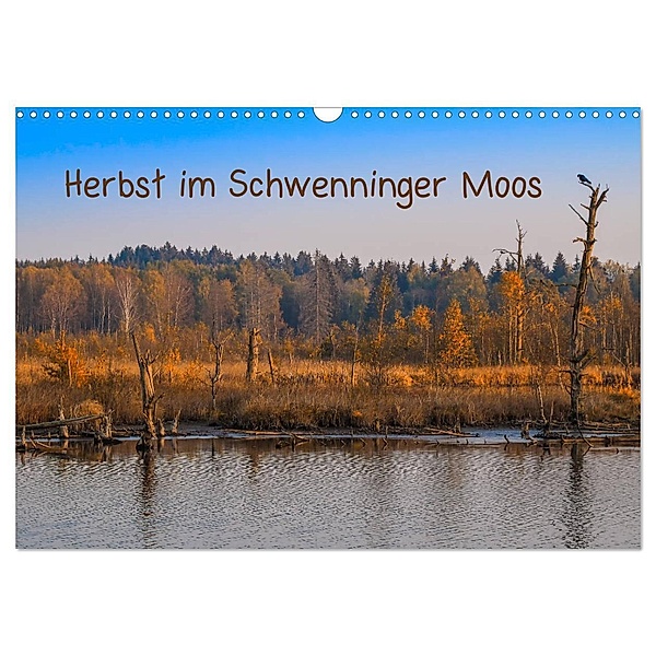 Herbst im Schwenninger Moos (Wandkalender 2024 DIN A3 quer), CALVENDO Monatskalender, Christine Horn