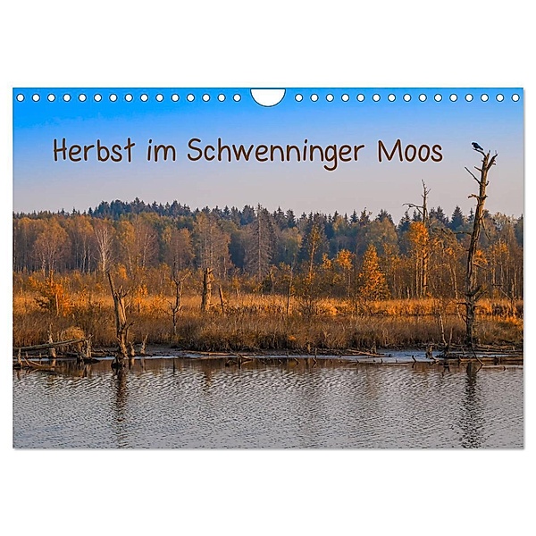 Herbst im Schwenninger Moos (Wandkalender 2025 DIN A4 quer), CALVENDO Monatskalender, Calvendo, Christine Horn