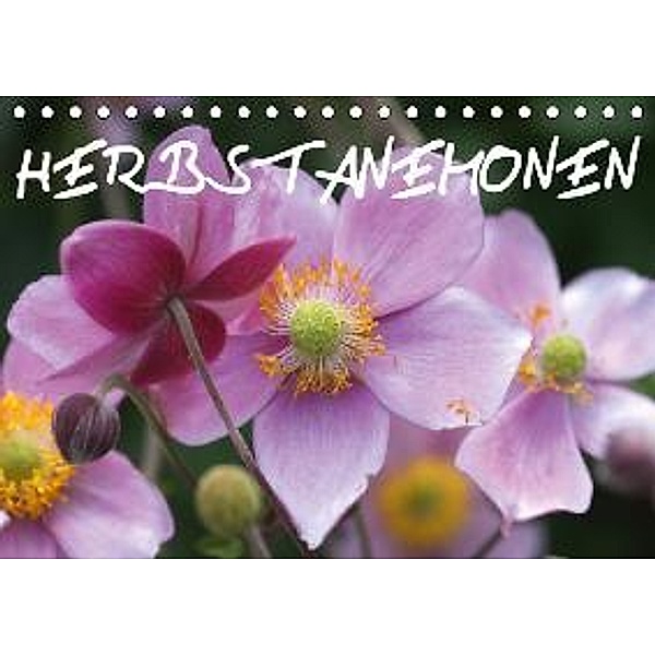 Herbstanemonen (Tischkalender 2015 DIN A5 quer), Gisela Kruse