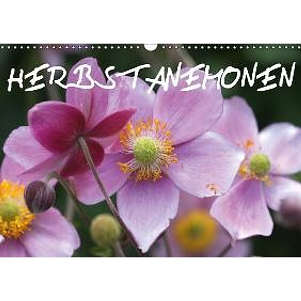 Herbstanemonen (Wandkalender 2015 DIN A3 quer), Gisela Kruse