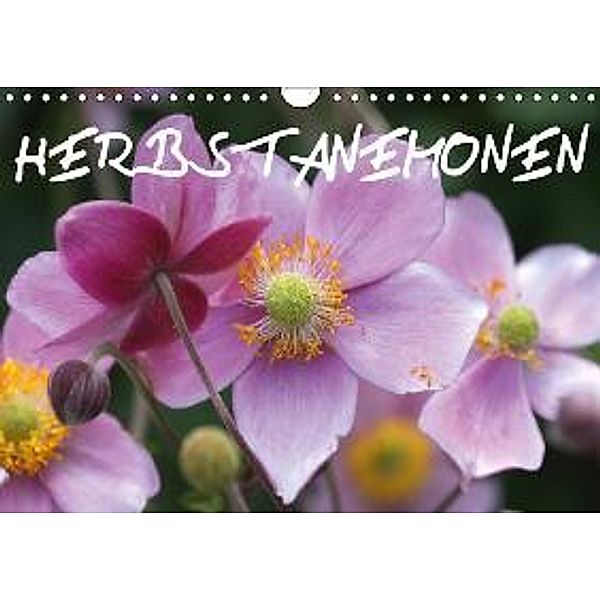Herbstanemonen (Wandkalender 2015 DIN A4 quer), Gisela Kruse