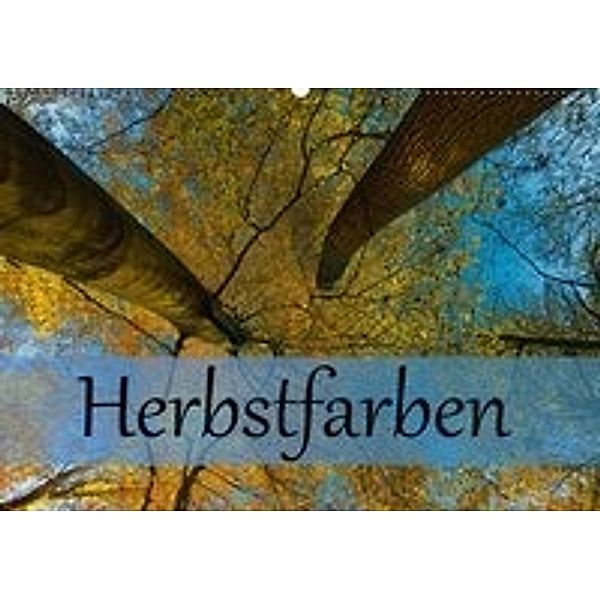 Herbstfarben (Wandkalender 2016 DIN A2 quer), Erwin Renken