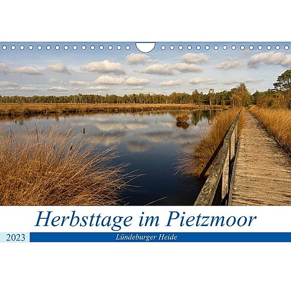 Herbsttage im Pietzmoor - Lüneburger Heide (Wandkalender 2023 DIN A4 quer), Angelika Beuck