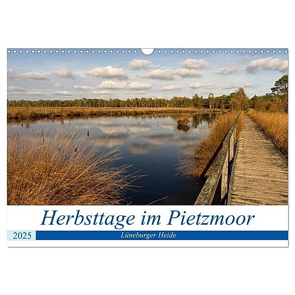 Herbsttage im Pietzmoor - Lüneburger Heide (Wandkalender 2025 DIN A3 quer), CALVENDO Monatskalender, Calvendo, Angelika Beuck