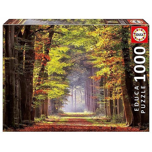 Carletto Deutschland, Educa Herbstweg durch Wald (Puzzle)