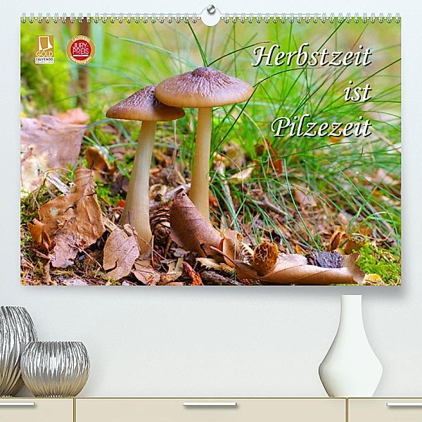 Herbstzeit ist Pilzezeit (Premium, hochwertiger DIN A2 Wandkalender 2023, Kunstdruck in Hochglanz), LianeM