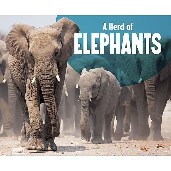 Herd of Elephants / Raintree Publishers, Amy Kortuem