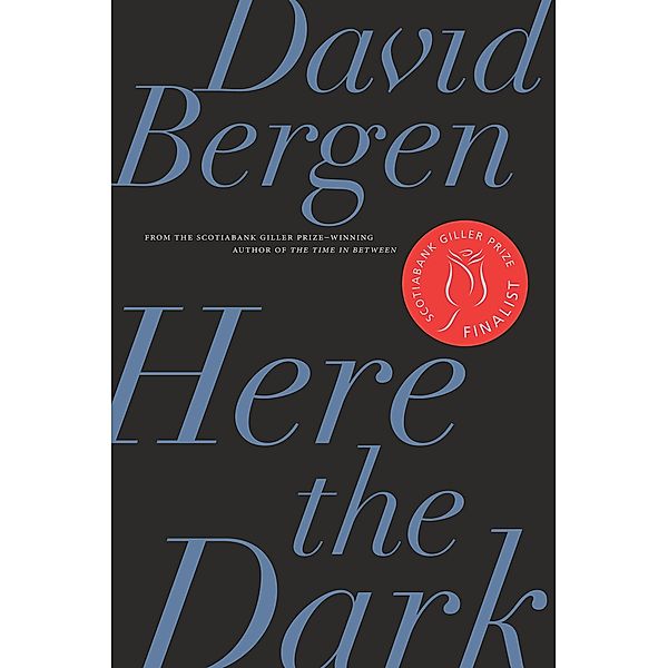 Here the Dark, David Bergen