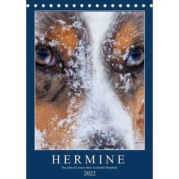 Hermine - Ein Jahr mit einem Mini Australian Shepherd (Tischkalender 2022 DIN A5 hoch), Kai Wernze