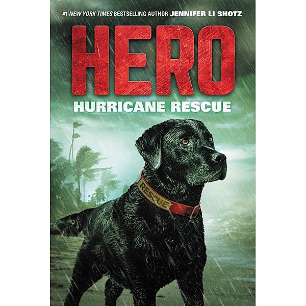 Hero: Hurricane Rescue / Hero Bd.2, Jennifer Li Shotz