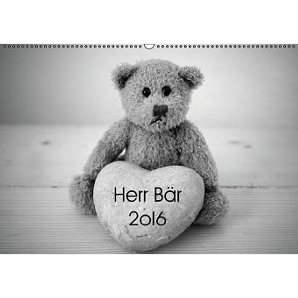 Herr Bär 2oI6 (Wandkalender 2016 DIN A2 quer), Oliver Buchmann