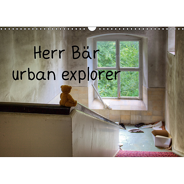 Herr Bär urban explorer (Wandkalender 2019 DIN A3 quer), Oliver Buchmann