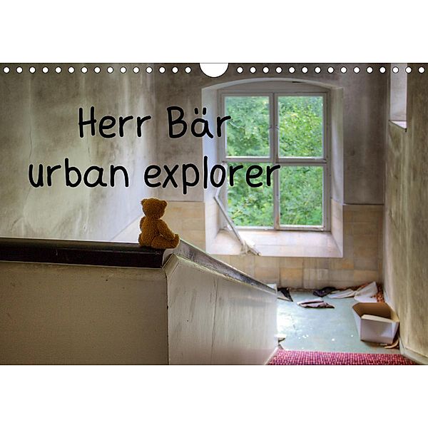 Herr Bär urban explorer (Wandkalender 2020 DIN A4 quer), Oliver Buchmann