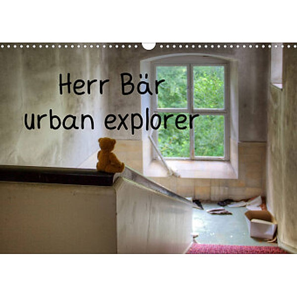 Herr Bär urban explorer (Wandkalender 2022 DIN A3 quer), Oliver Buchmann