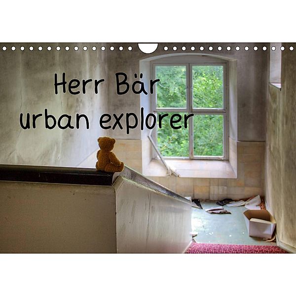 Herr Bär urban explorer (Wandkalender 2023 DIN A4 quer), Oliver Buchmann