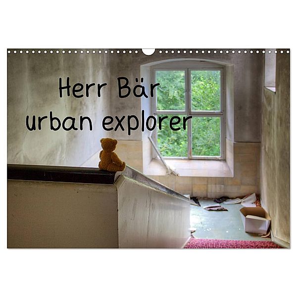 Herr Bär urban explorer (Wandkalender 2024 DIN A3 quer), CALVENDO Monatskalender, Oliver Buchmann