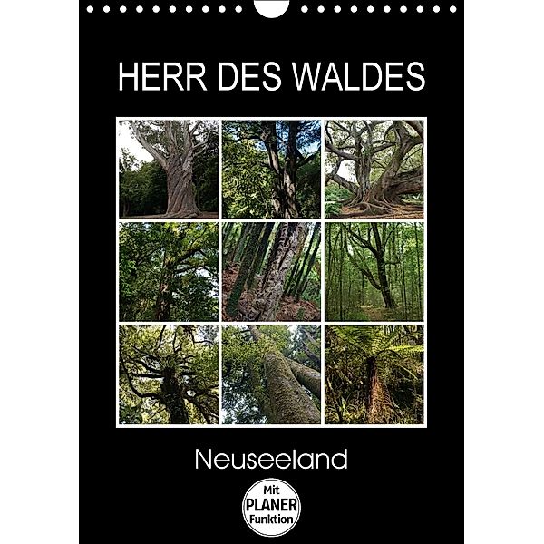 Herr des Waldes - Neuseeland (Wandkalender 2018 DIN A4 hoch), Flori0
