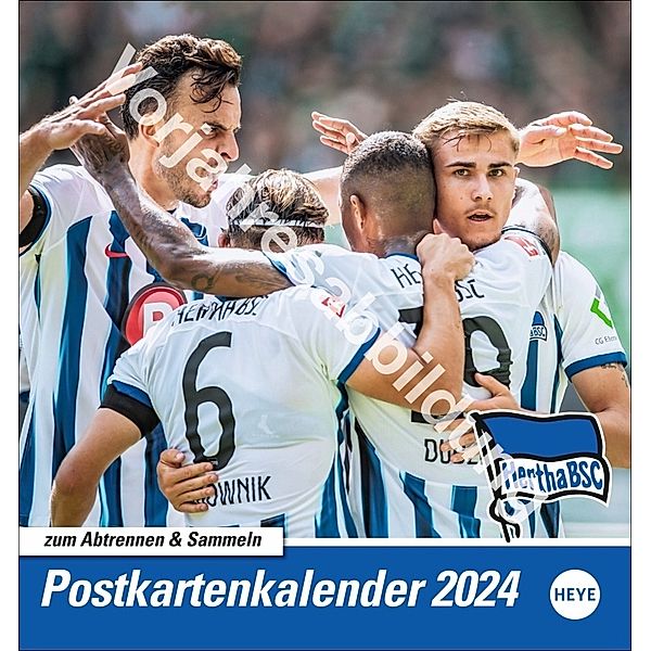 Hertha BSC Postkartenkalender 2025